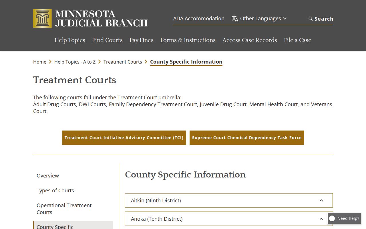 Murray County court docket and treatment court access in Slayton